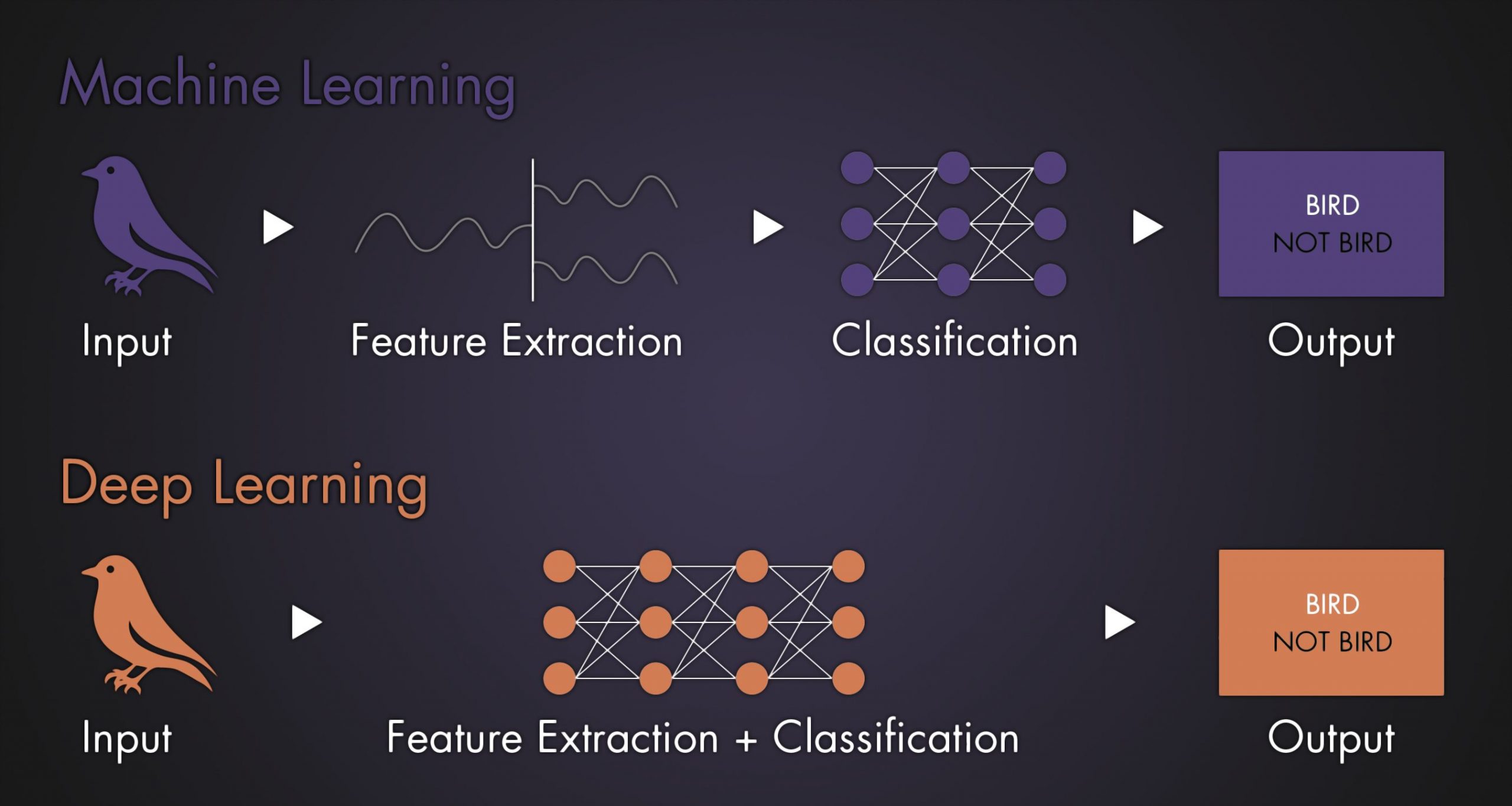 Infographic Machine Learning and Deep Learning
