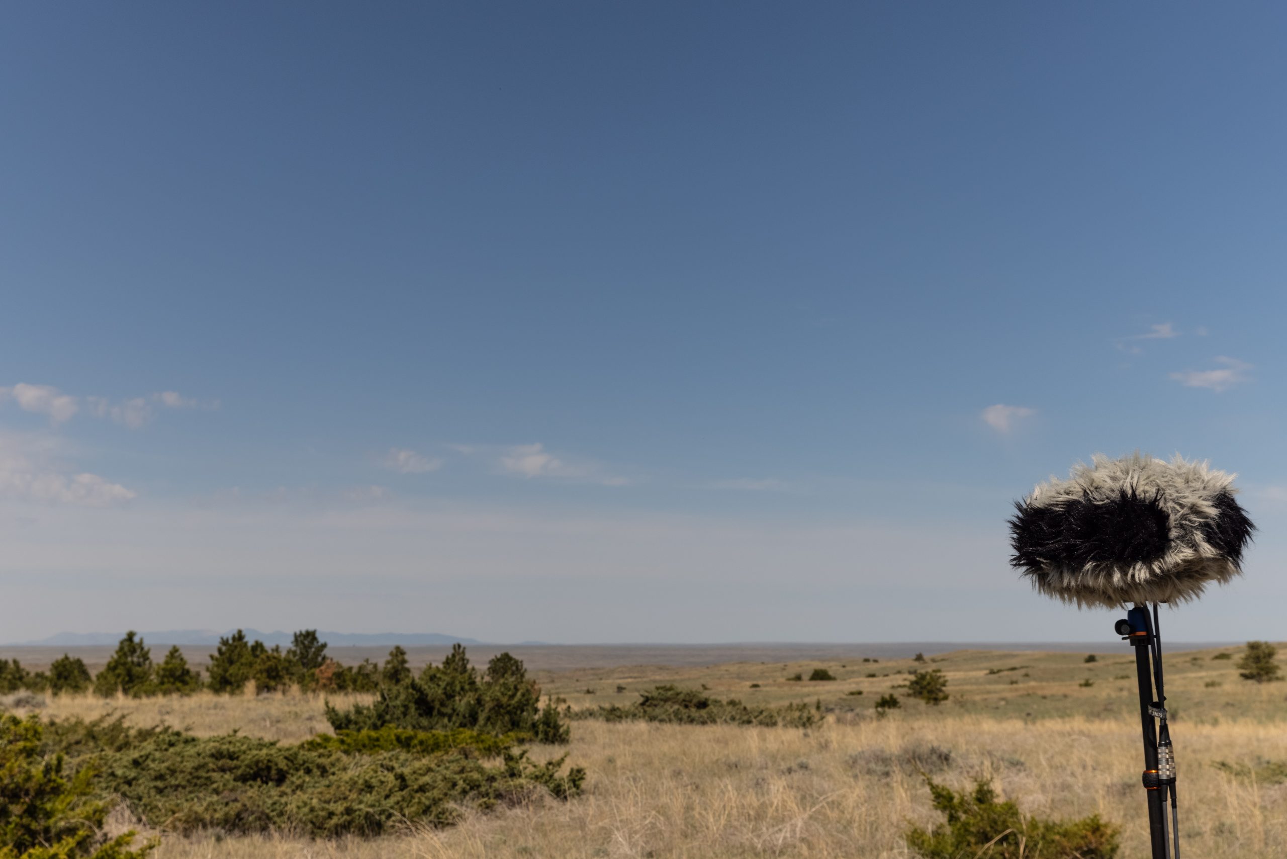 Prairies Nature Ambience Sound Effects recordings