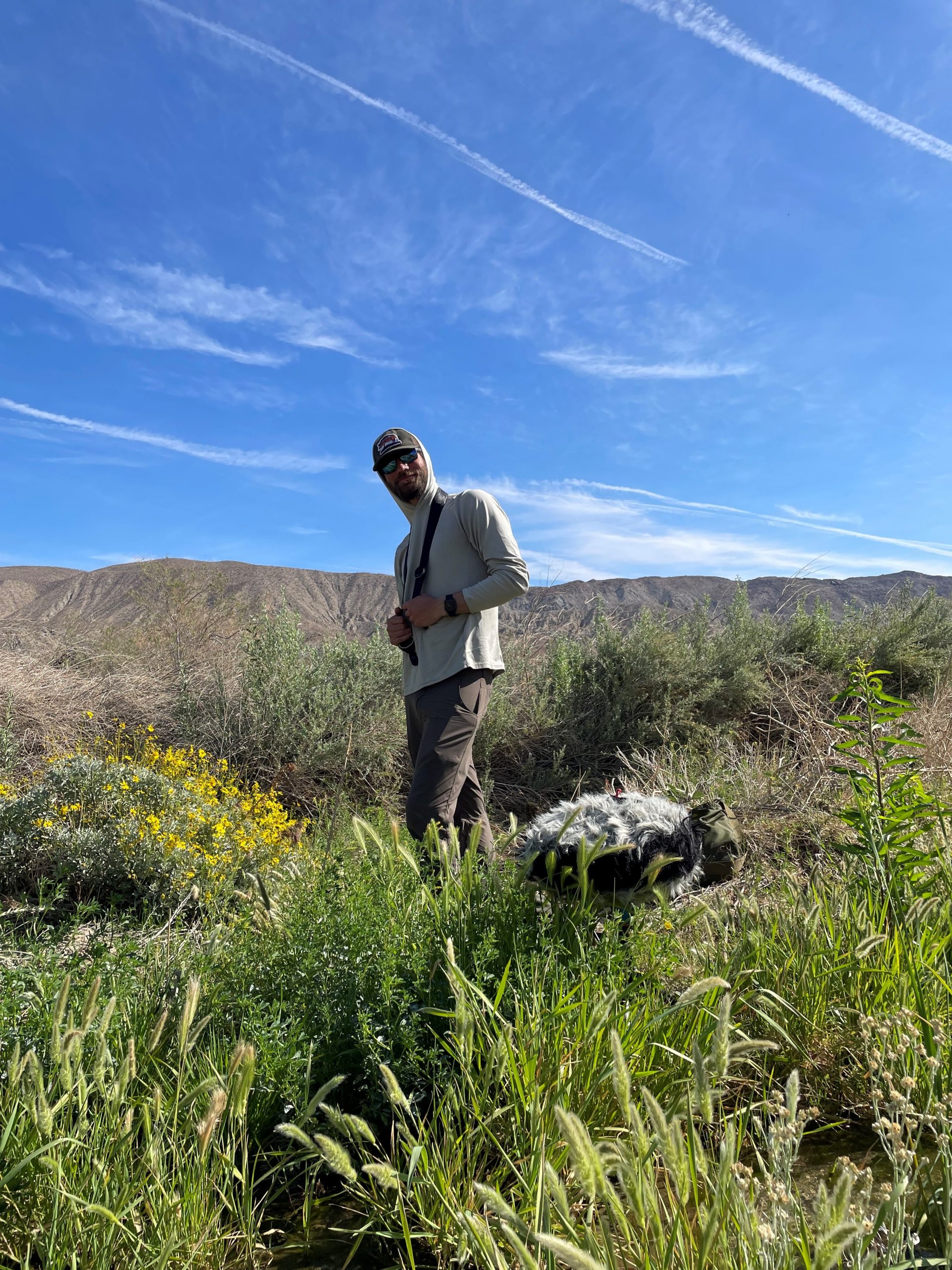 BOOM Library royalty free summer sound effects recordings