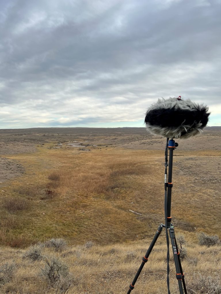 BOOM Library royalty free summer sound effects