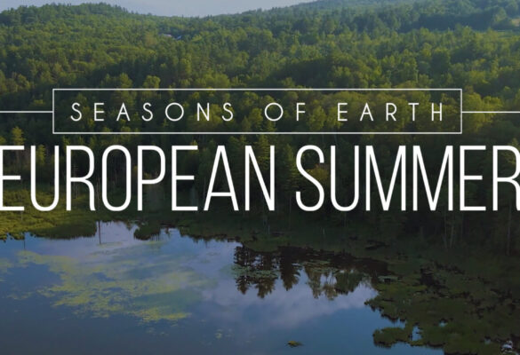 EUROPEAN SUMMER – BEHIND THE SEASON
